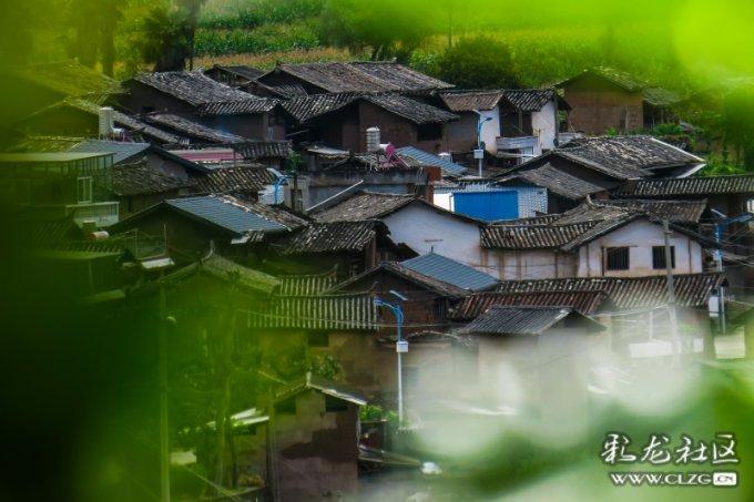 父亲在家庭教育中有什么作用呢？